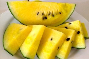 اكل بطيخ اصفر