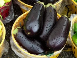 الباذنجان في المنام فهد العصيمي
