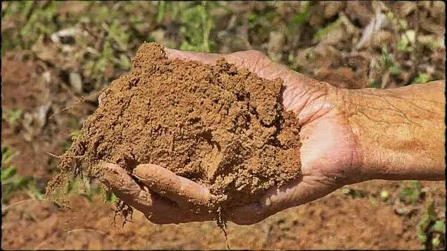 الارض الطينية في المنام