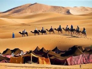 البادية في المنام