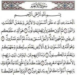 الانعام في المنام
