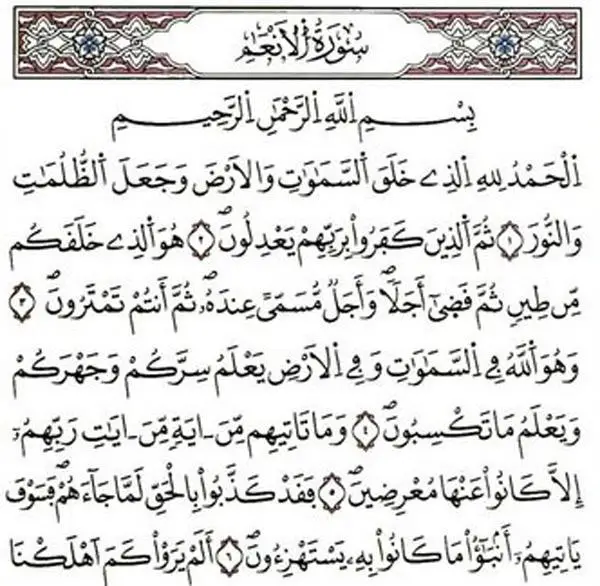 الانعام في المنام